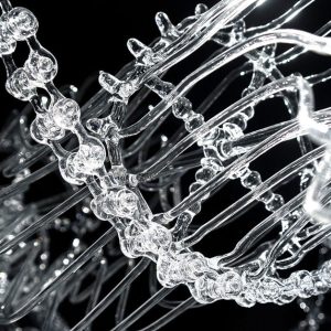 Jeanine Verloop - Symbiote