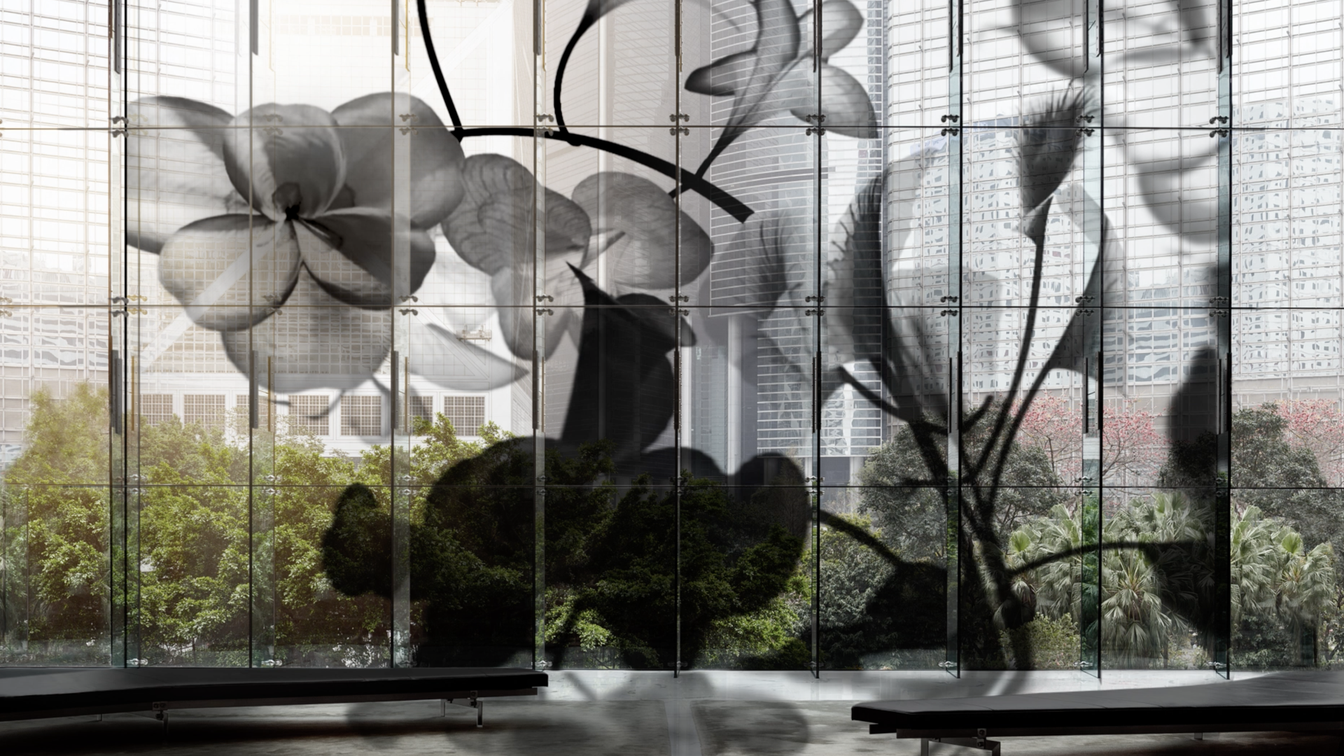 VideowindoW Biophilic glare control urban - Remco Veenbrink VideowindoW Biophilic glare control urban - Remco Veenbrink